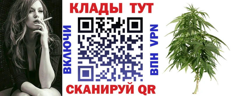 Где купить Сураж Галлюциногенные грибы  COCAIN  Мефедрон  Амфетамин  Гашиш  Марихуана  A-PVP 