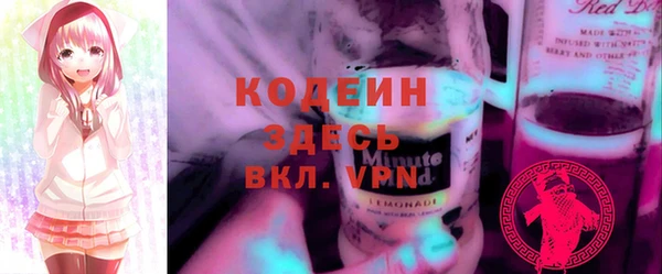 хмурый Арсеньев