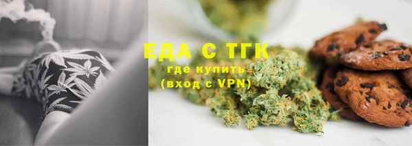 хмурый Арсеньев