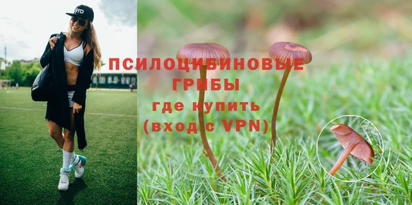 хмурый Арсеньев