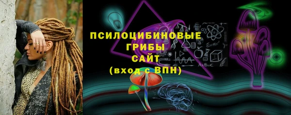 дмт Аркадак