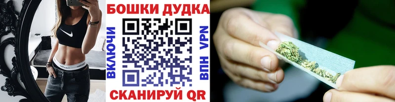 mega tor  Сураж  Каннабис семена 